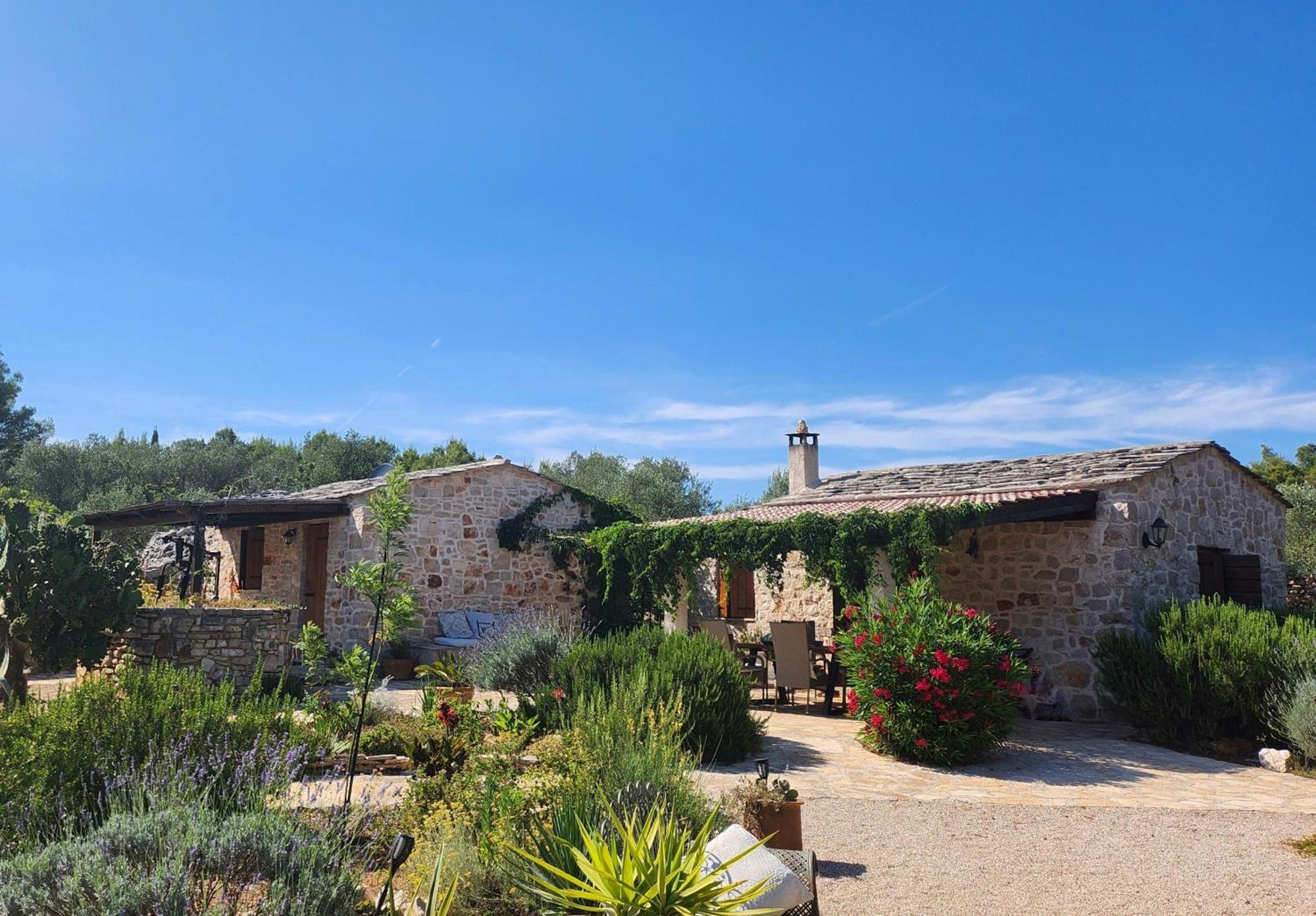 Villa Oxa Dreamland Стари Град Экстерьер фото