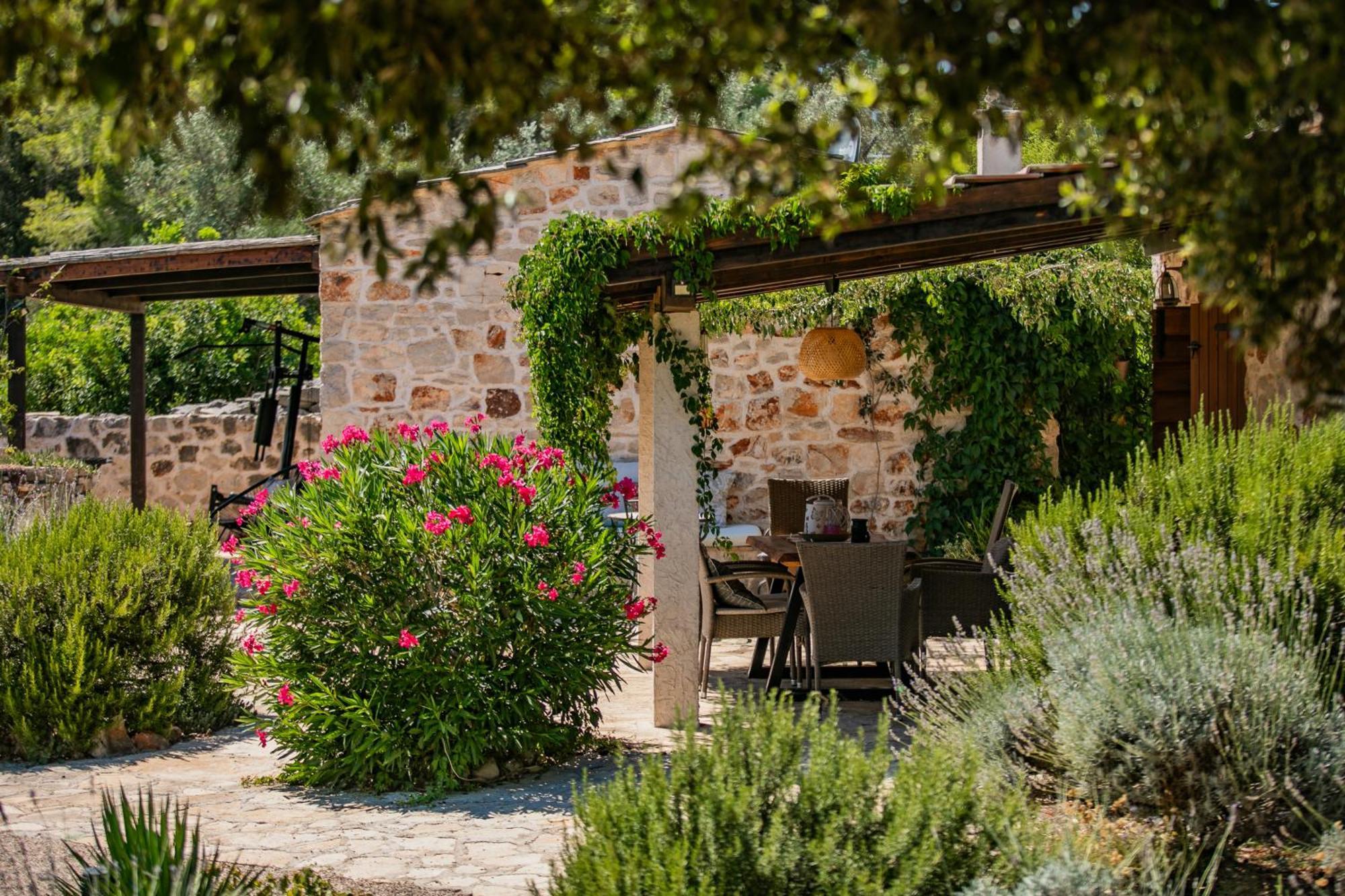 Villa Oxa Dreamland Стари Град Экстерьер фото